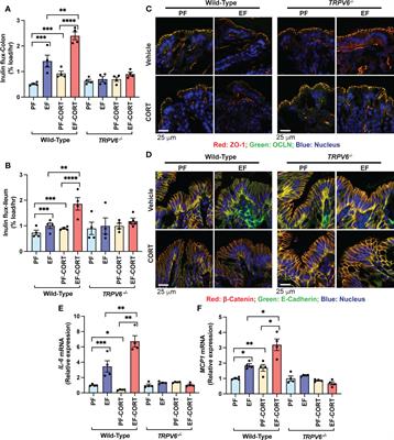 TRPV6 deficiency attenuates stress and corticosterone-mediated exacerbation of alcohol-induced gut barrier dysfunction and systemic inflammation